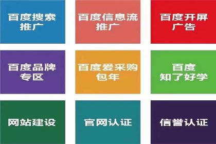 案例解析：揭秘高效竞价推广技巧